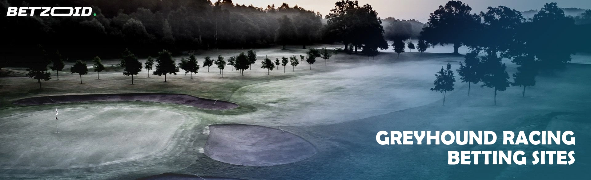 Greyhound racing betting sites.