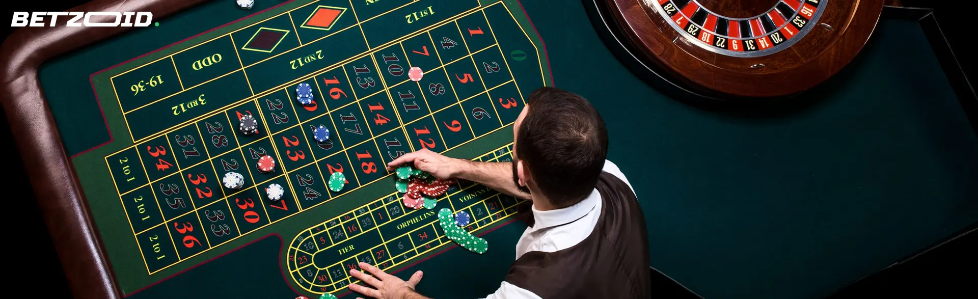 The croupier spreads the chips on the roulette table.