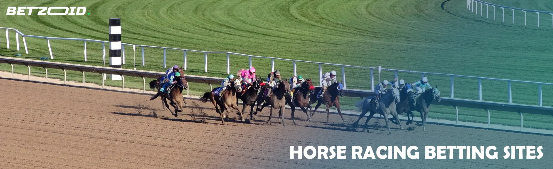 Horses compete on a racetrack during a race.