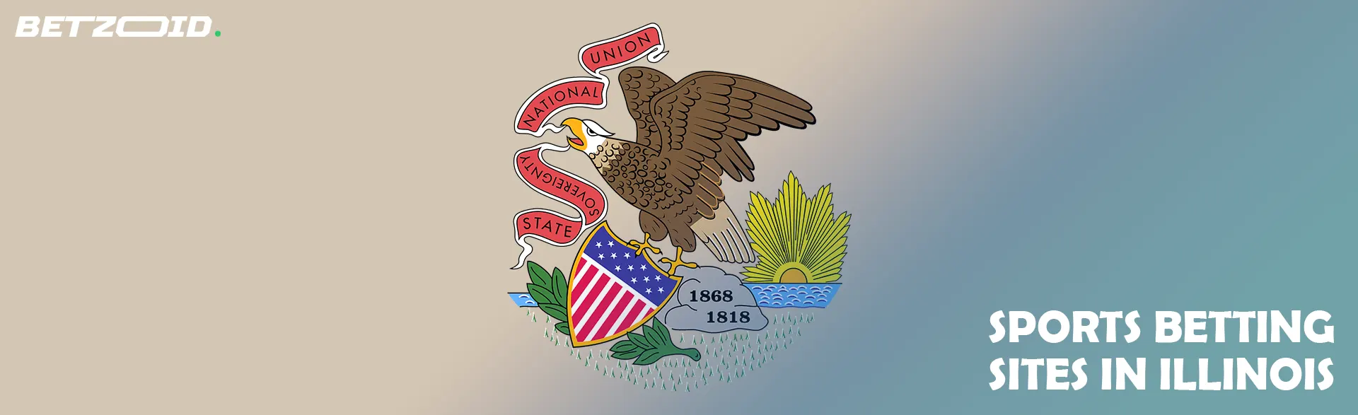 Illinois state flag.