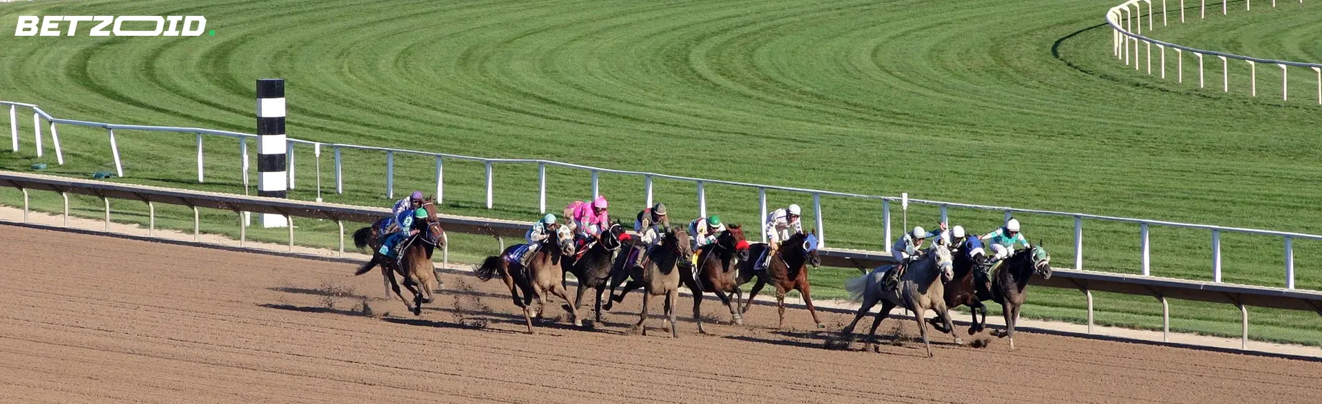競馬中に馬に乗る騎手。