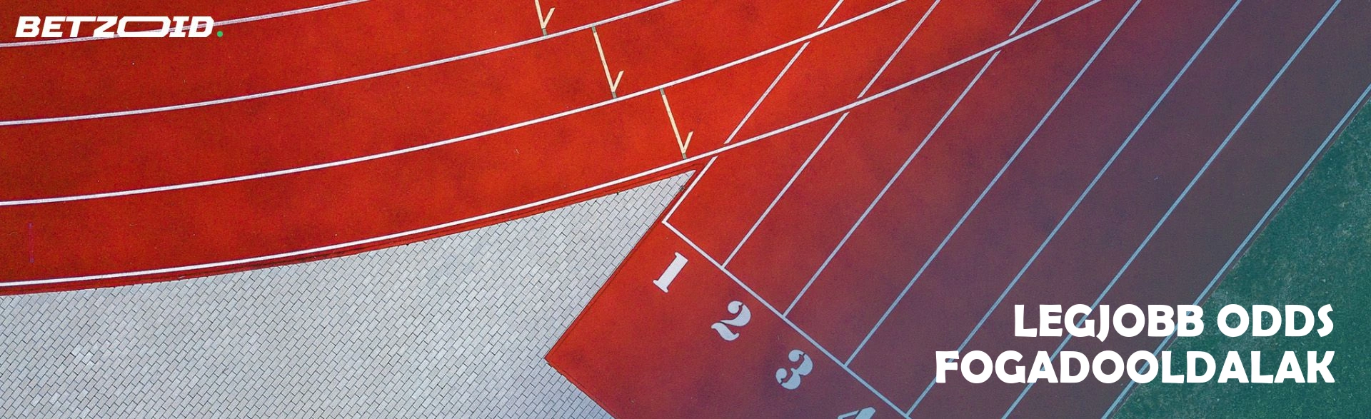 Legjobb odds fogadooldalak.