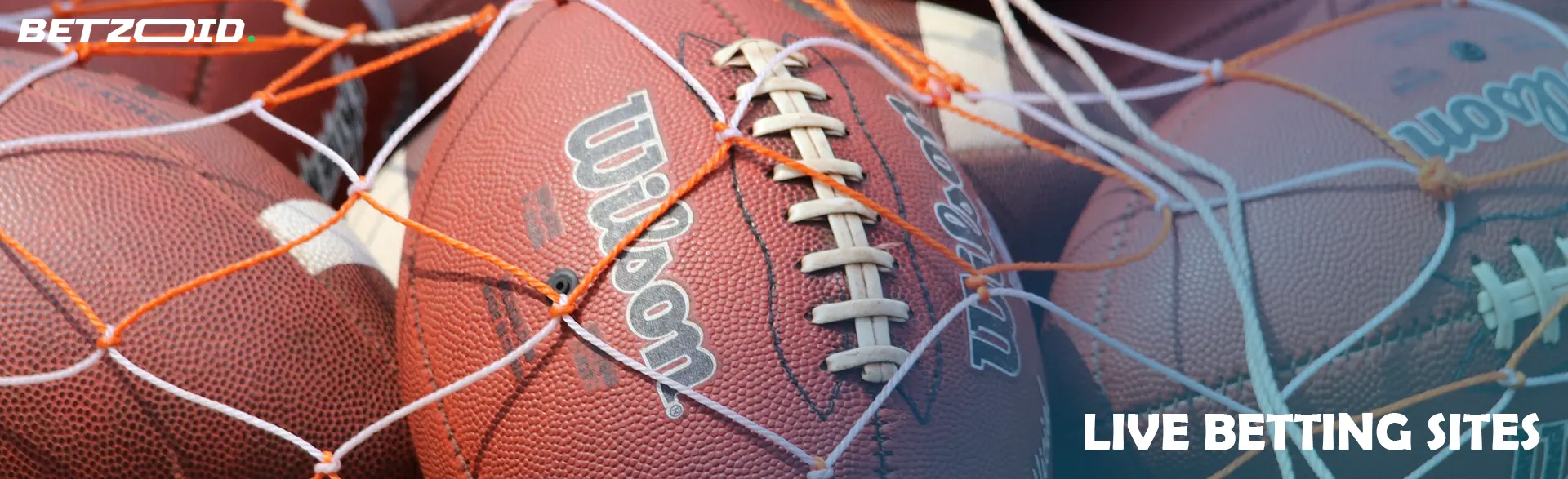 American football balls in the net.