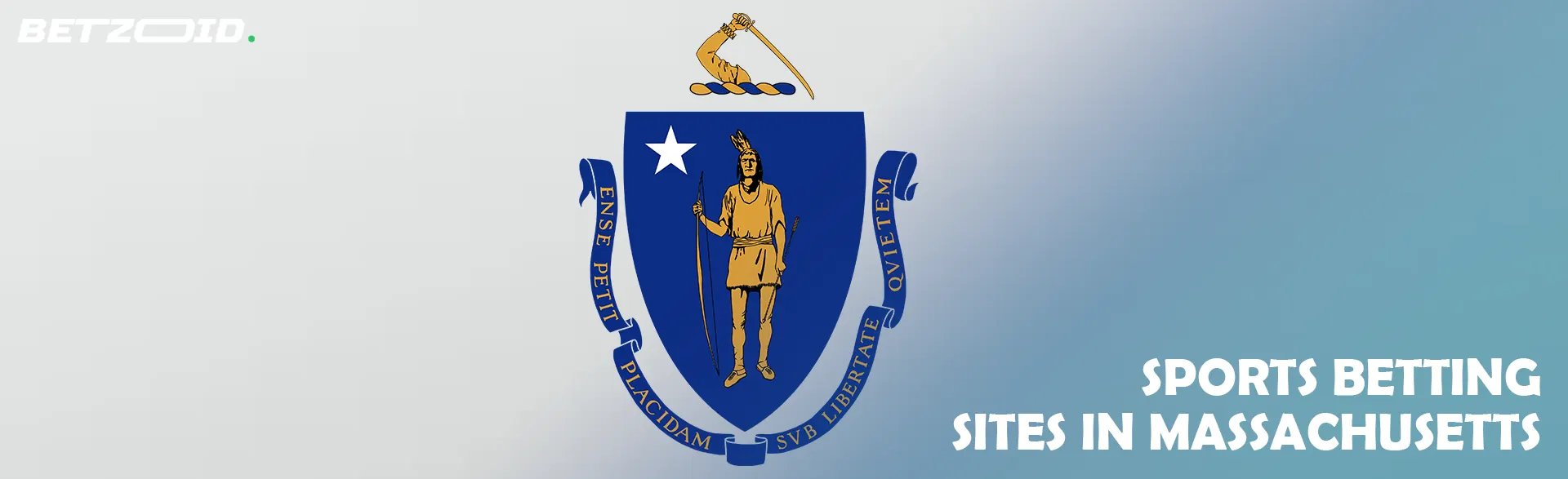 Massachusetts state flag.