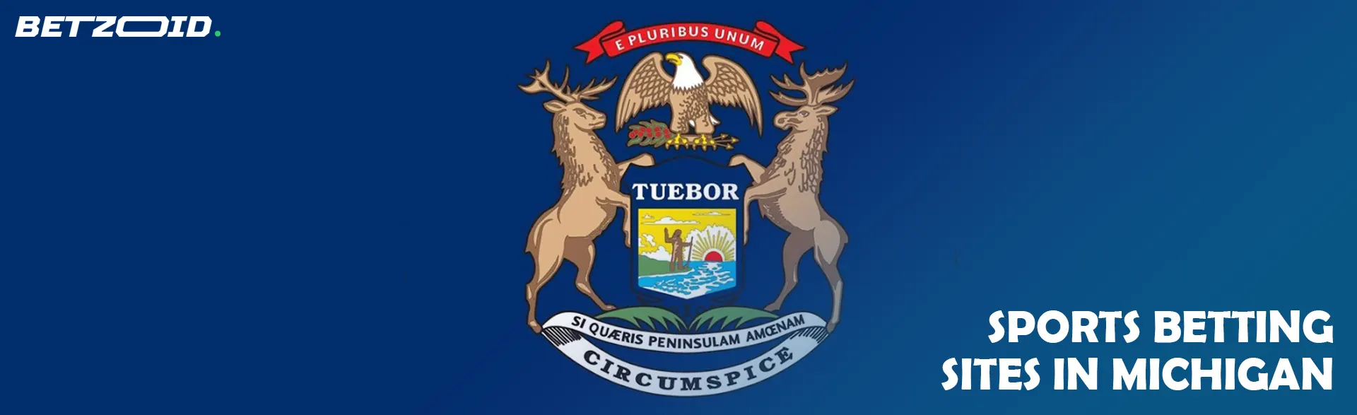 Michigan state flag.