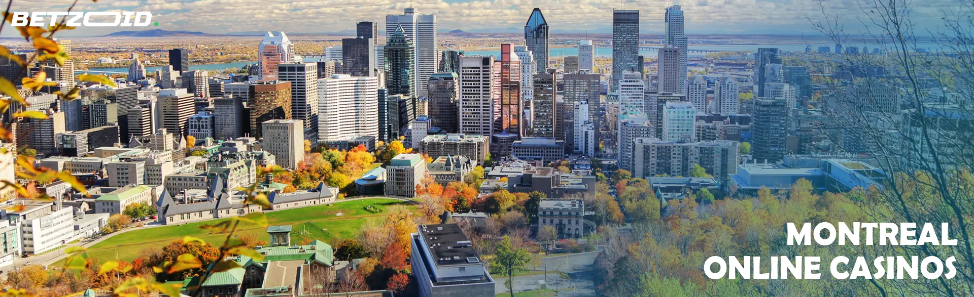 View of the city of Montreal.