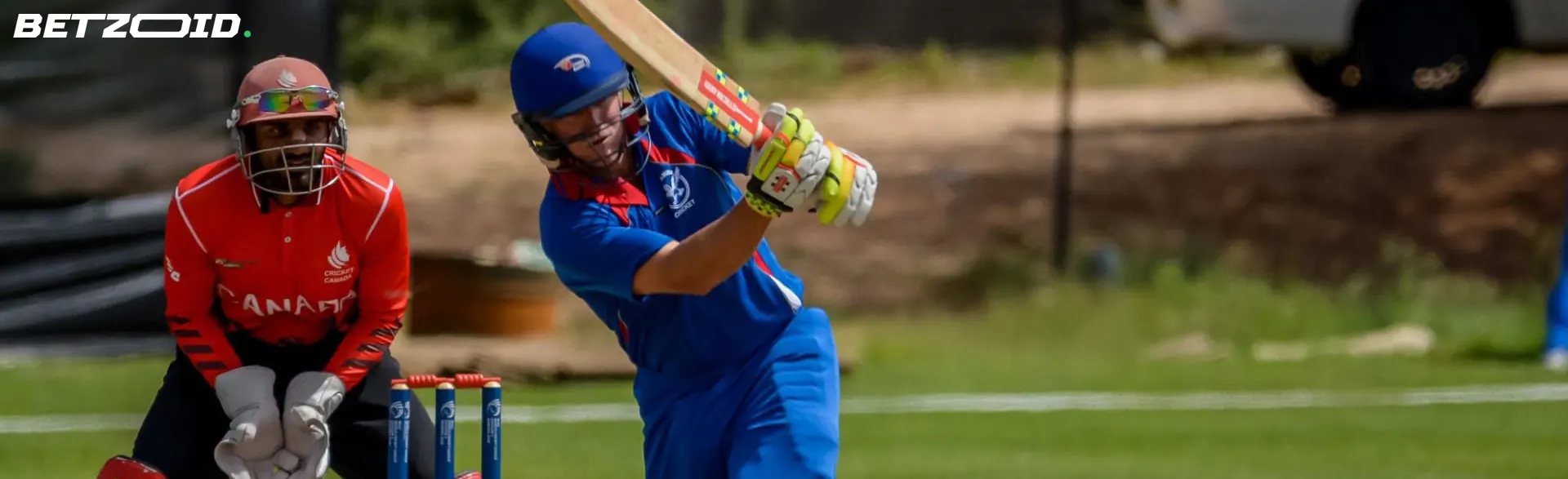 A cricket player in blue batting while a player in red catches, representing Newfoundland sportsbooks.