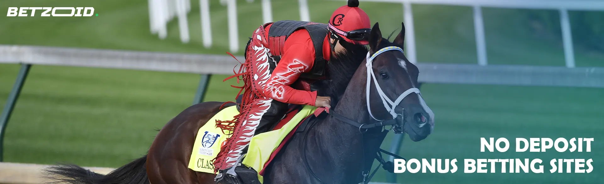 A rider on a horse during a horse race.