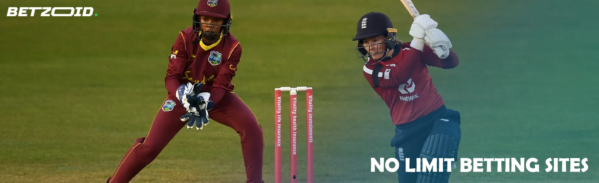 Cricket players during a match.