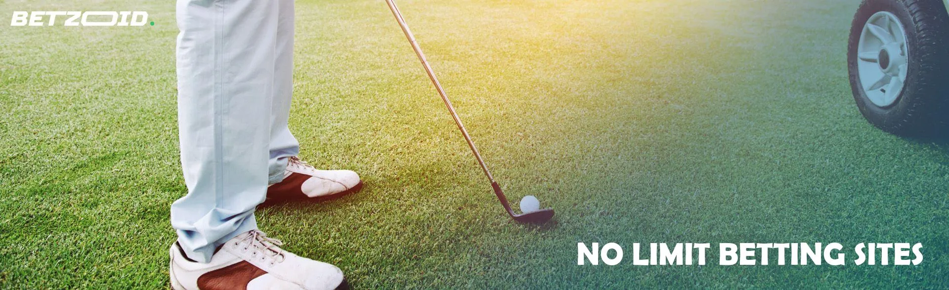 A golfer prepares to hit the ball.