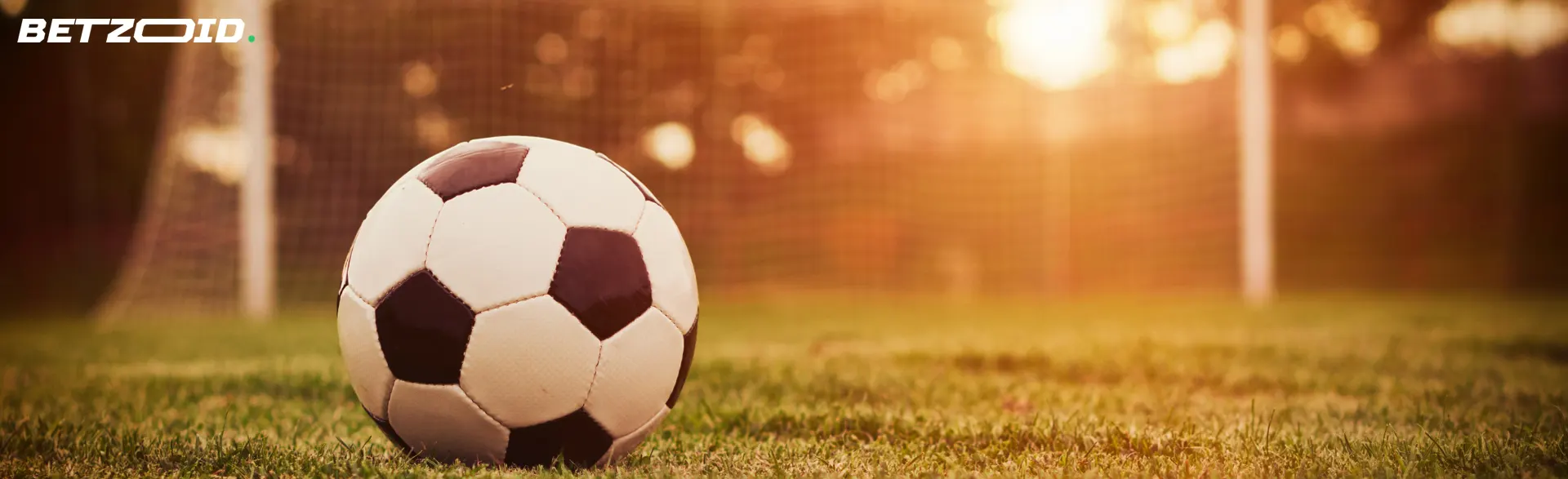 Soccer ball on the field.