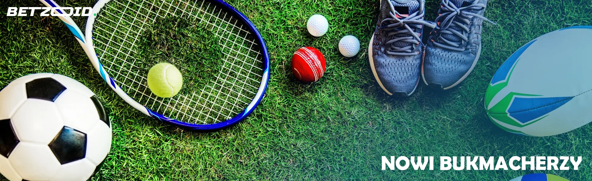 Різне спортивне обладнання лежить на траві.