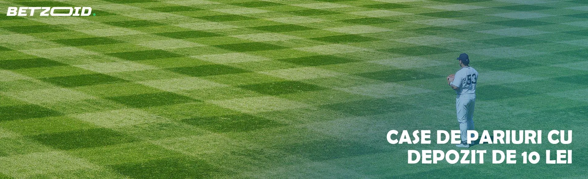 Jucător de baseball pe un teren gol.