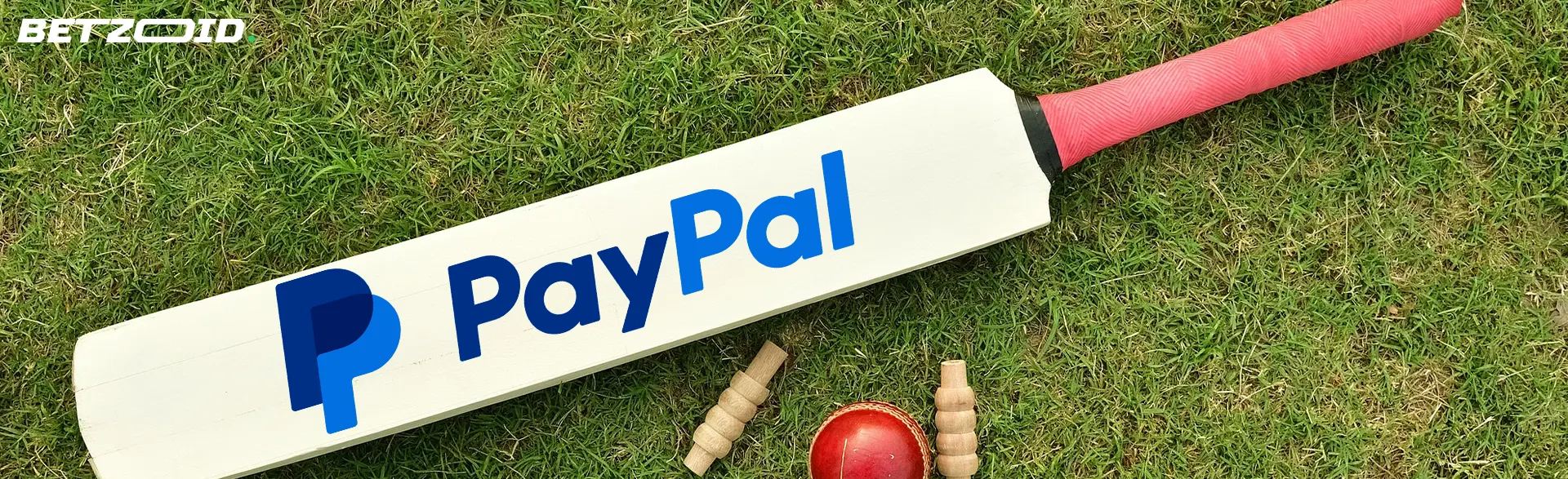 PayPal logo on cricket bat.