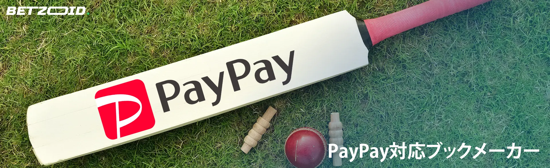クリケットのバットにPayPayのロゴ。