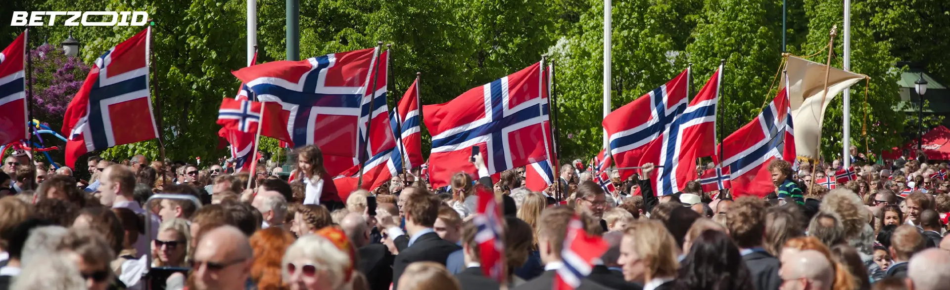 En mengde mennesker med norske flagg.