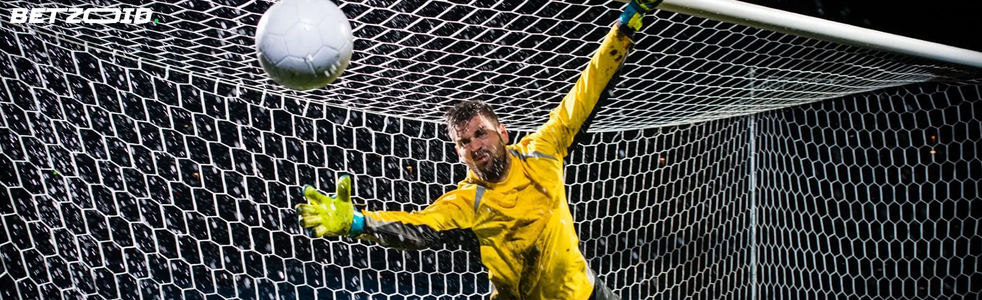 Ponturi Pariuri Sportive.