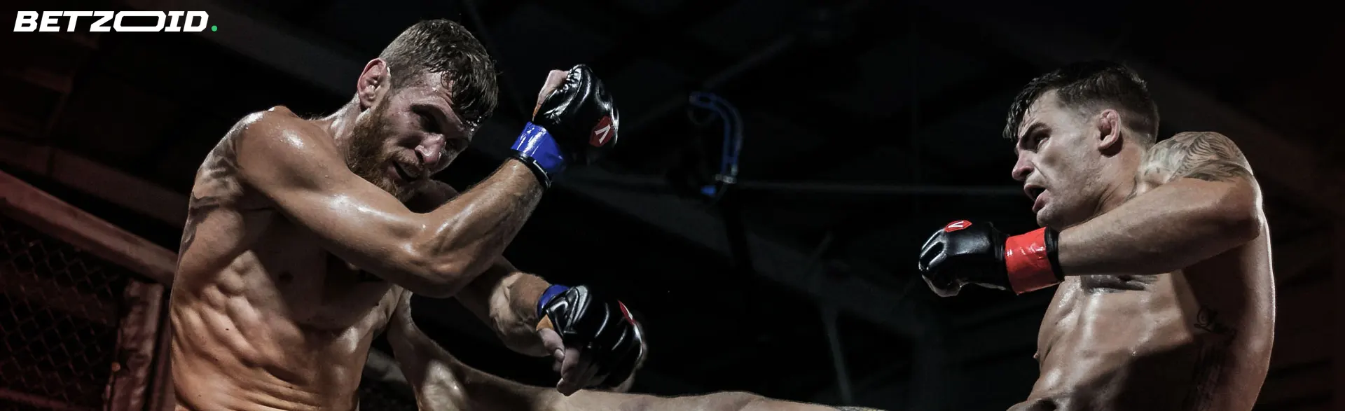 Mixed martial artists in a fight, representing Prince Edward Island sports betting sites.