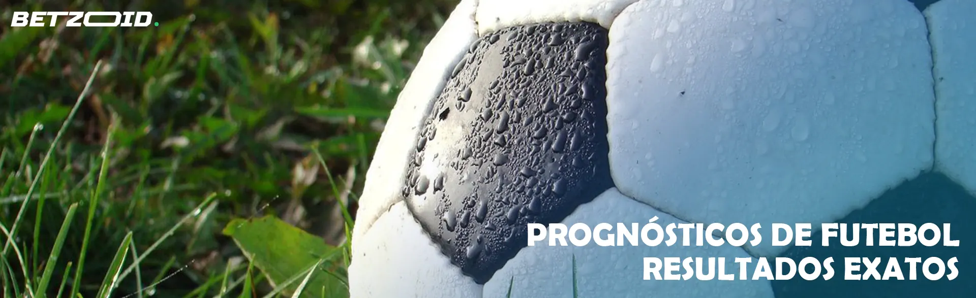 Bola de futebol na relva.