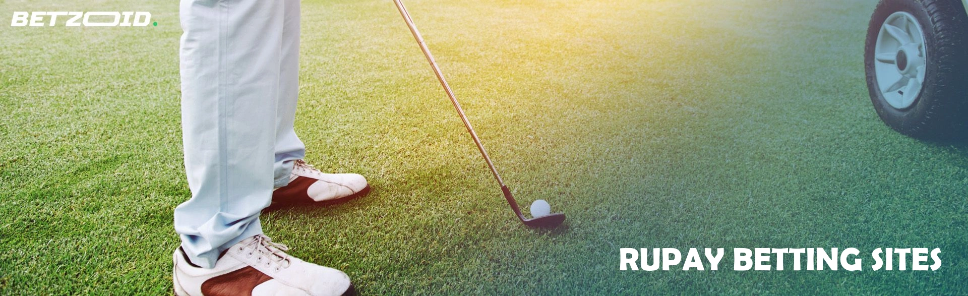 Rupay betting sites.