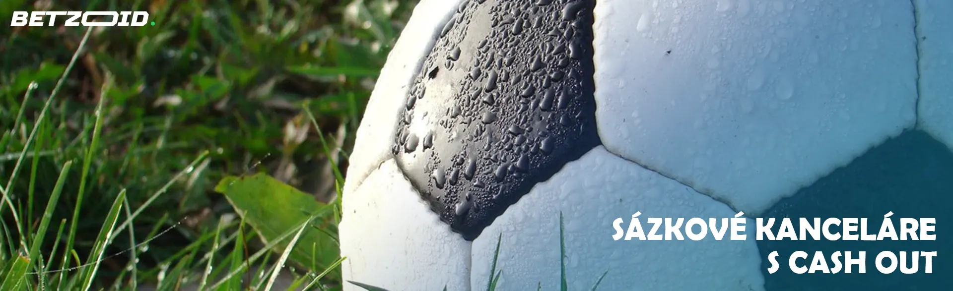 Fotbalový míč na trávě.