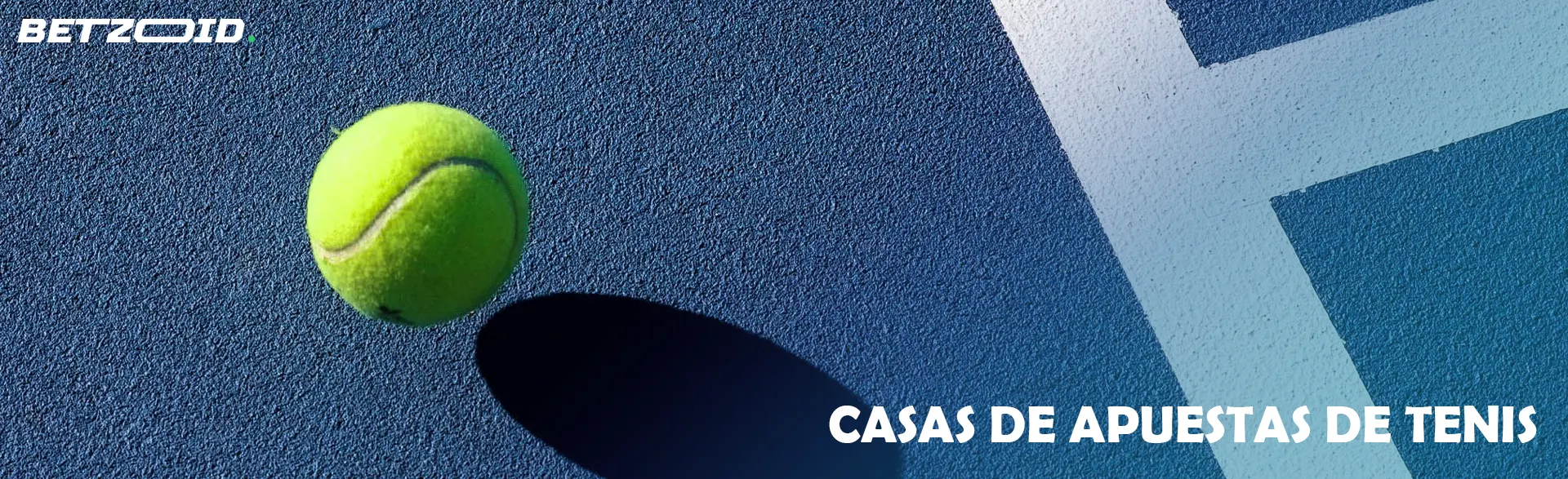 Pelota de tenis sobre la cancha.