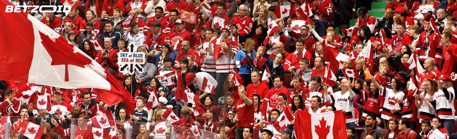 Fans with Canadian flags support their team.