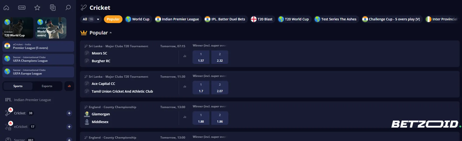 TivitBet cricket betting options.