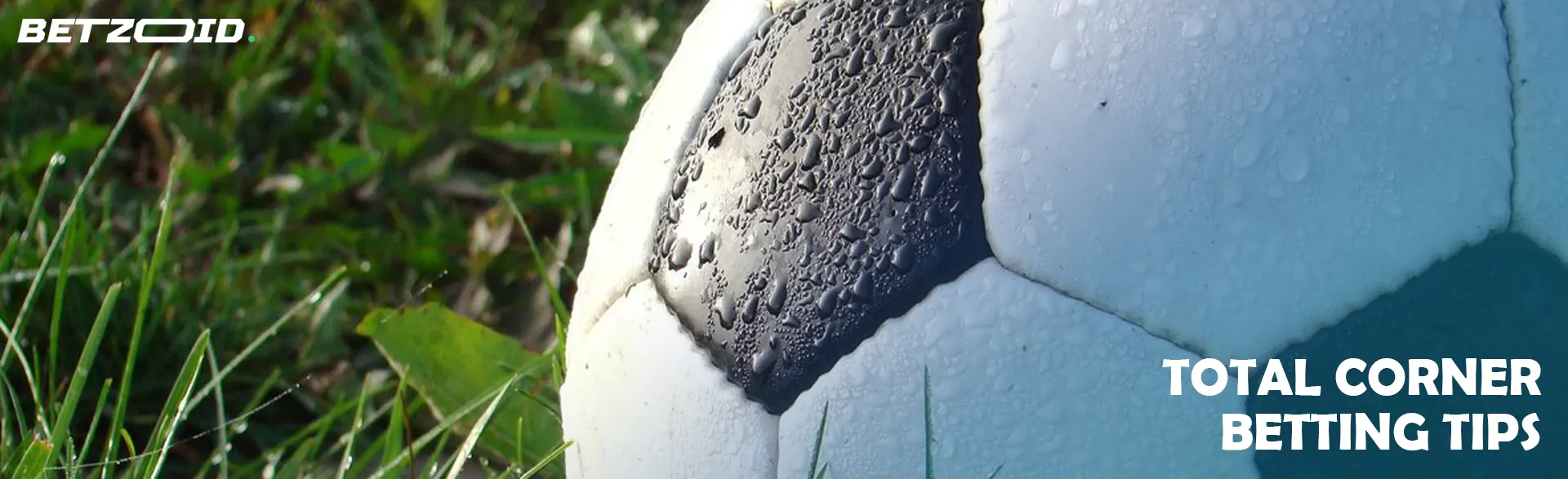 A soccer ball covered with dew drops lying on the grass.