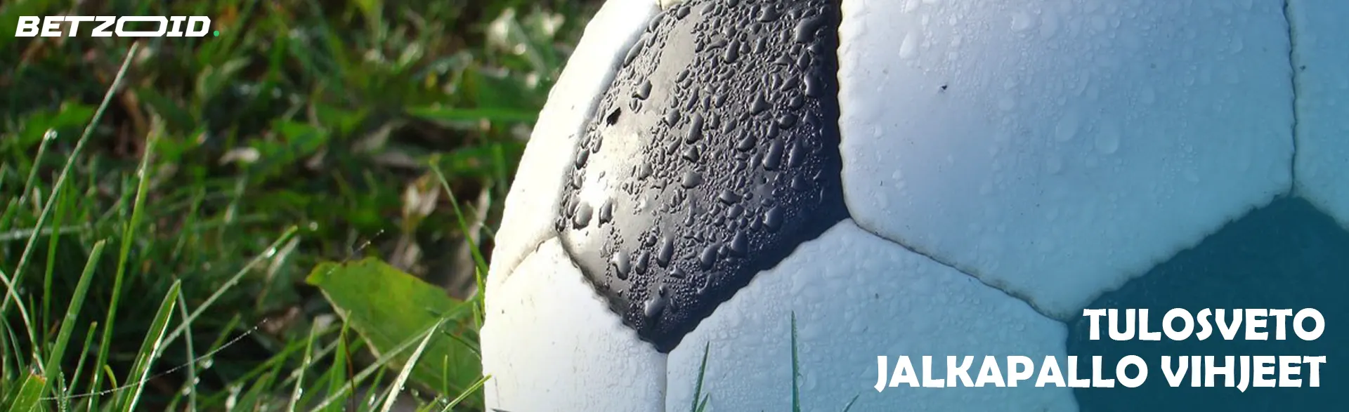 Jalkapallo makaa nurmikolla.