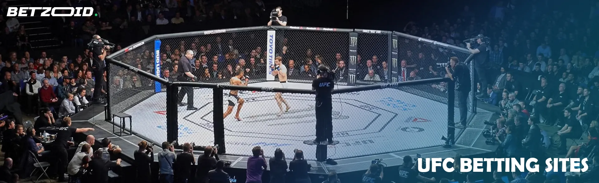 Fighters during a match in the UFC octagon.