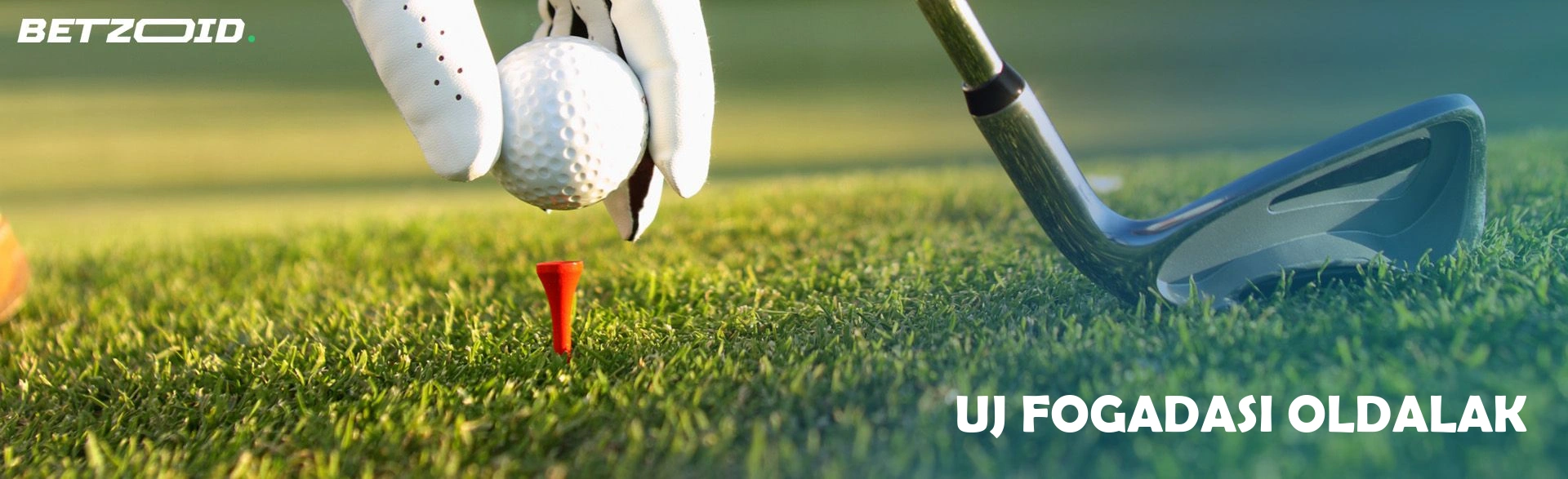 Uj fogadasi oldalak.