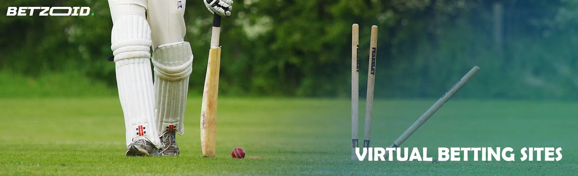 Cricketer with a bat on the field.
