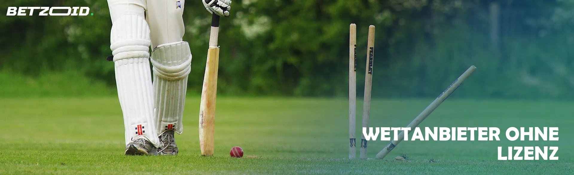 Cricketspieler mit Schläger auf dem Spielfeld.