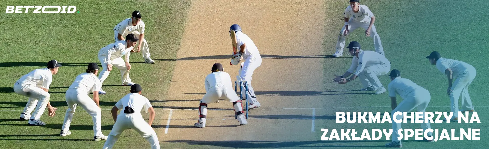 Krykieciści w akcji podczas gry.